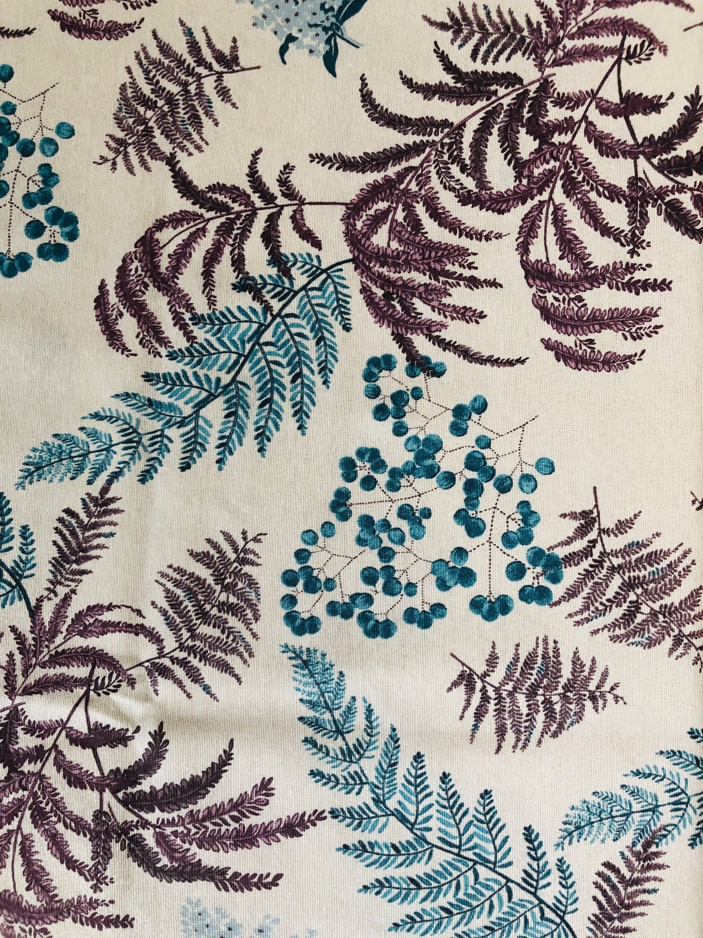Nappe Ivy